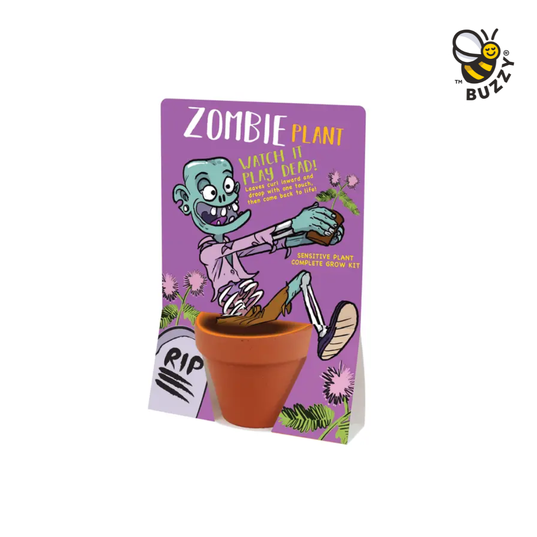 Buzzy Seeds Grow Gifts - Wholesale Plant Pot - Zombie Terracotta Grow Pot – Unique Indoor Plant Gift0