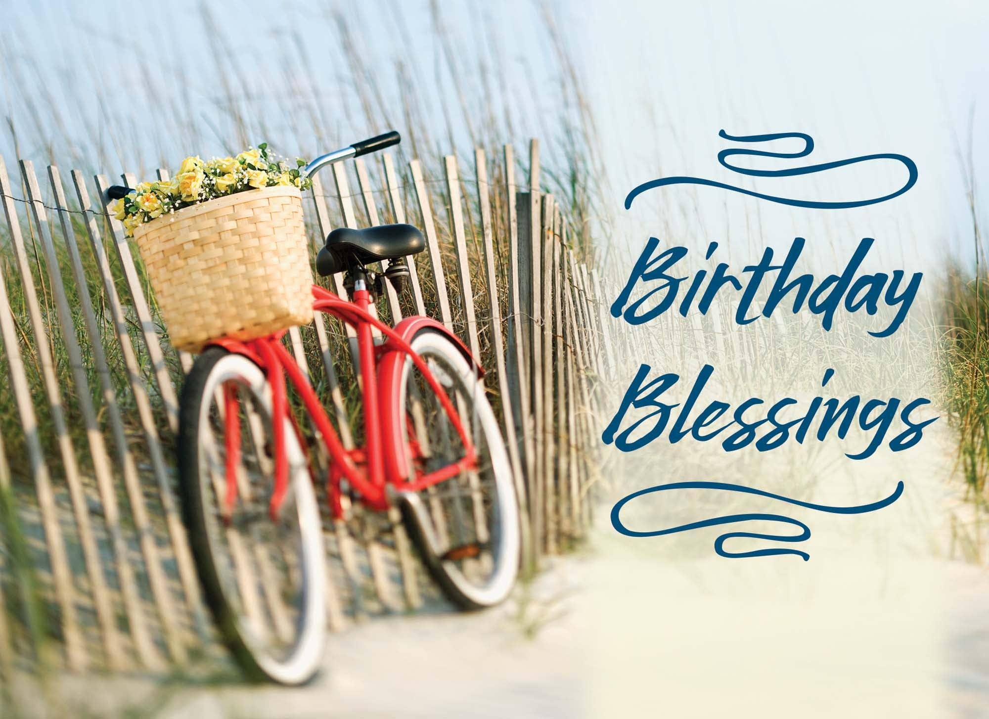 Crown Point Graphics - Wholesale Birthday Card - Celebrations -  48 Assorted Birthday Cards by Shared Blessings24