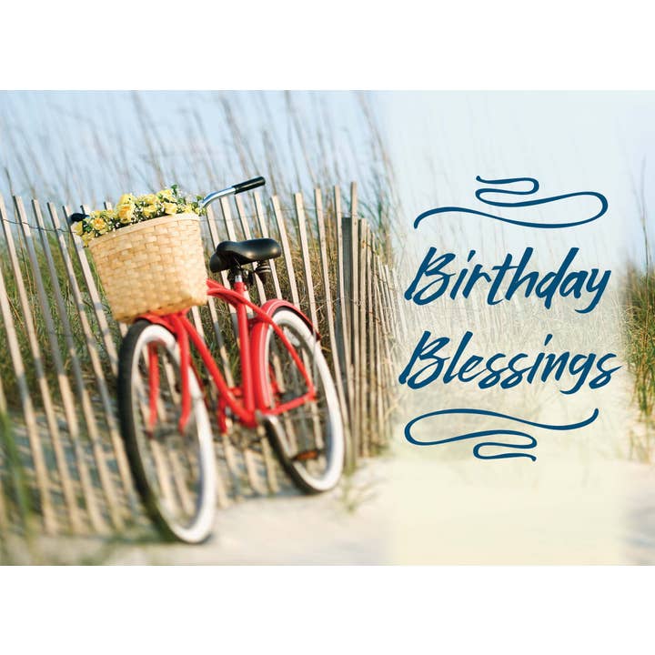 Crown Point Graphics - Wholesale Birthday Card - Celebrations - 48 Assorted Birthday Cards by Shared Blessings24