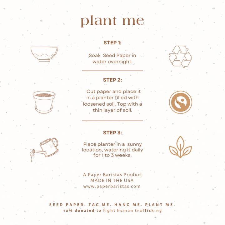 Paper Baristas - Wholesale Ornament Set - Plantable Seed Gift Tags / Ornaments Set of 3 CHRISTMAS TREE2