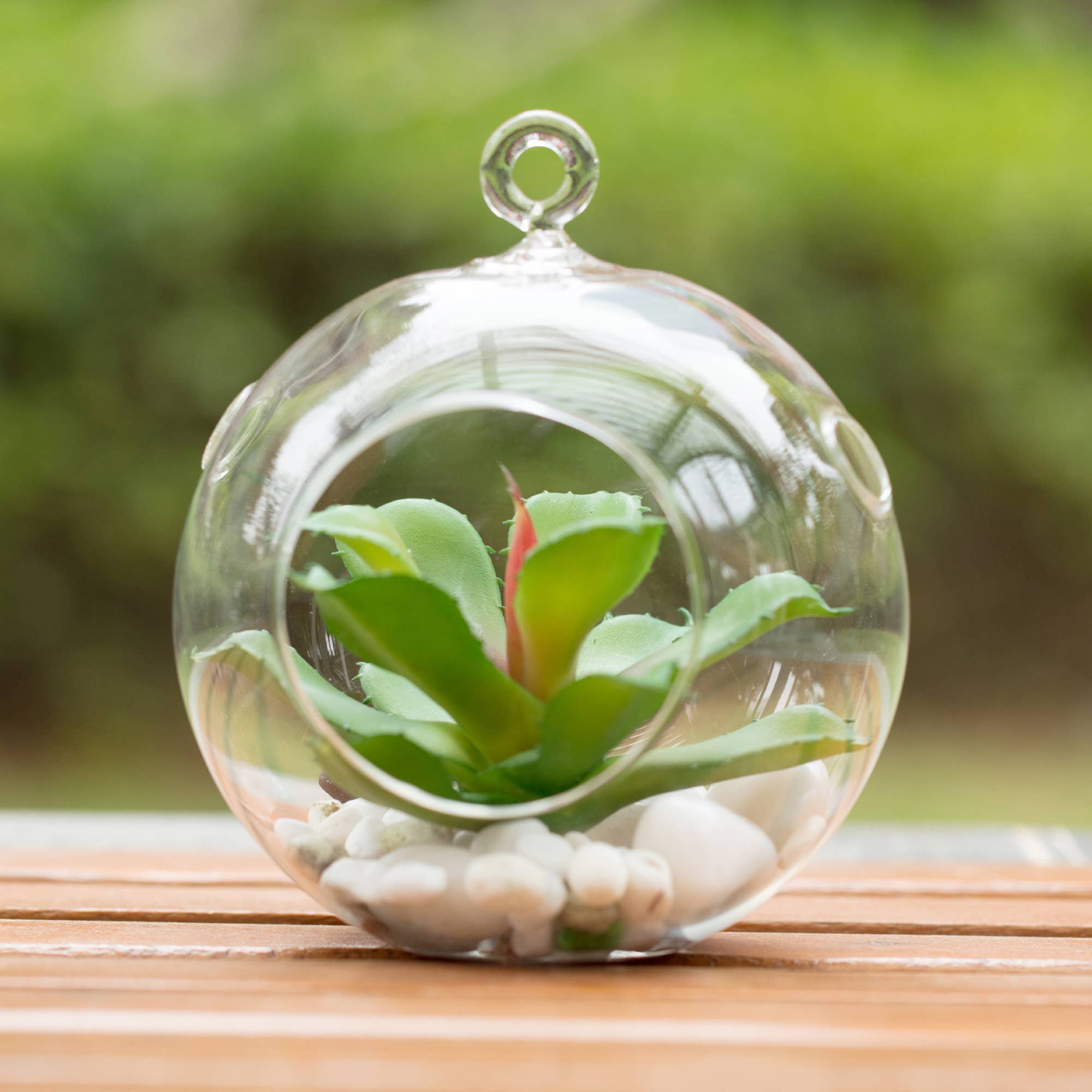 WGV International - Wholesale Candle Holder - WGV Clear Hanging Glass Terrarium / Candle Holder - 6"H3