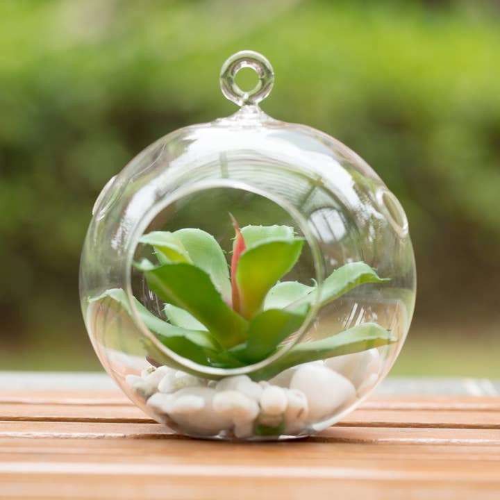 WGV International - Wholesale Candle Holder - WGV Clear Hanging Glass Terrarium / Candle Holder - 6"H3