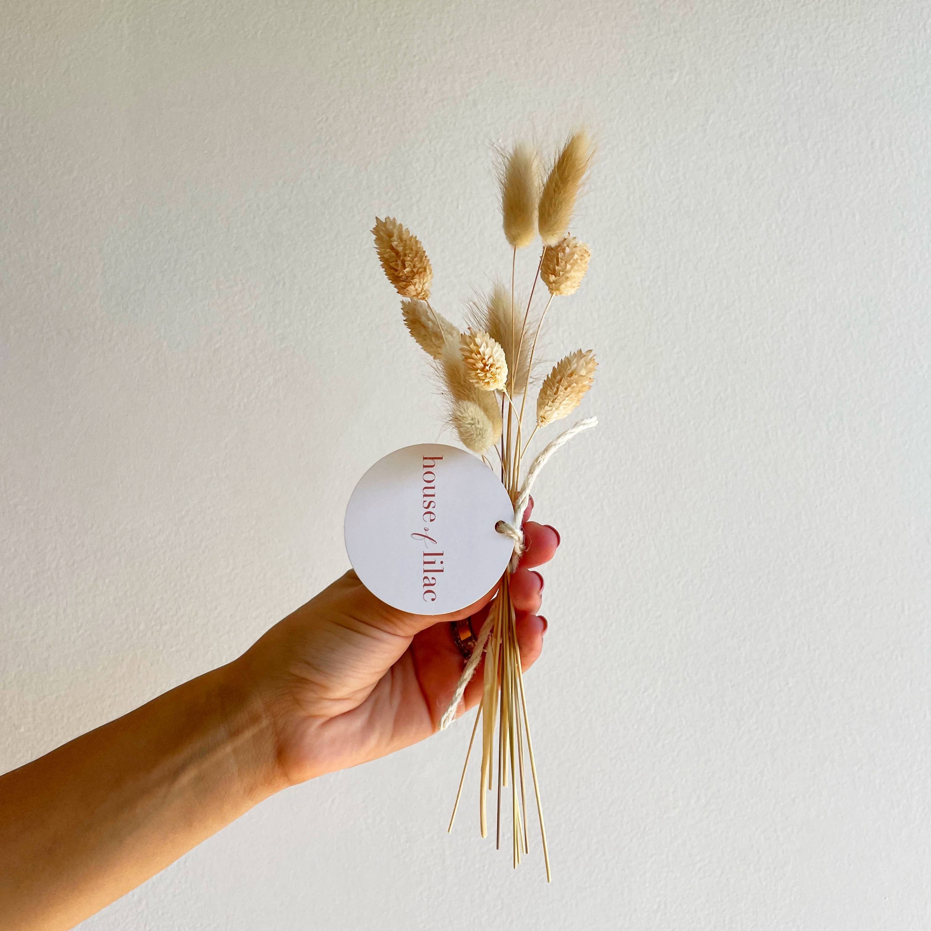 House of Lilac – Engroshandel Tørrede/pressede blomster – Buketter med tørrede bunny tail blomster3