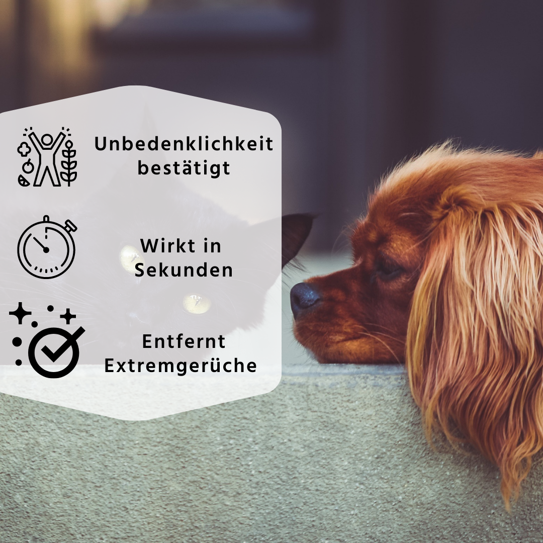 Sensedeck GmbH – Großhandel Haustier-Deospray – LINOZZ Animal Geruchsentferner 500 ml1