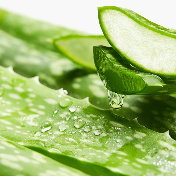 Maison Kaori - Venta al por mayor Velas en tarros - Vela aromática de aloe vera