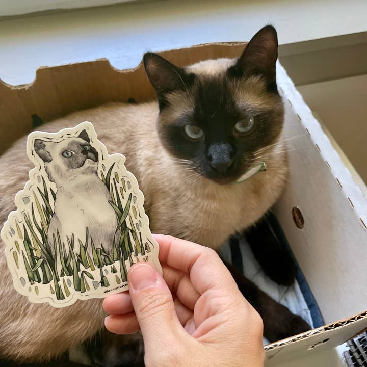 Bernie - Vinylsticker (W) voor wholesale door Documented Journey