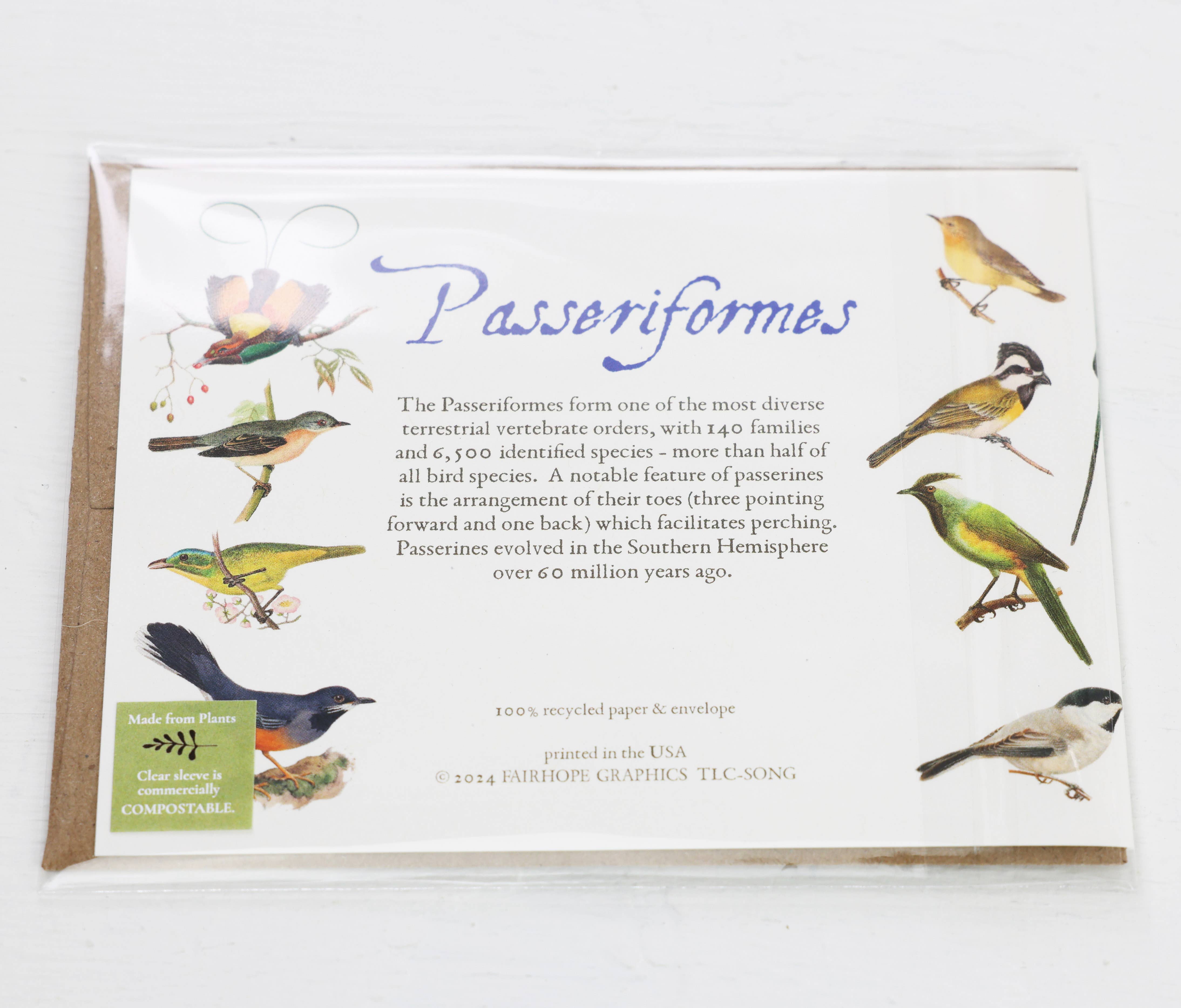 Fairhope Graphics - Wholesale Everyday Greeting Card - Song Birds Card2