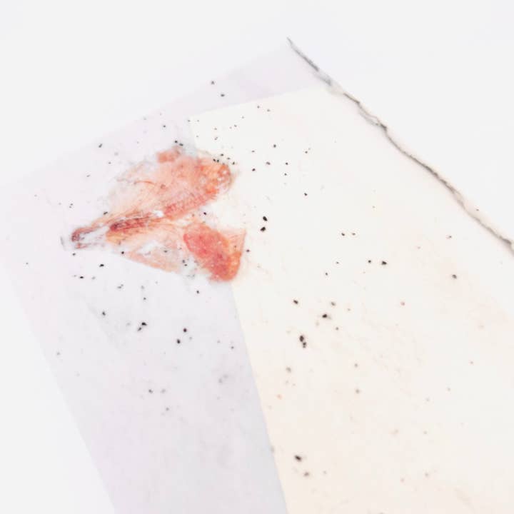 HELLO ARTIST DIY - Wholesale Craft Supplies - Transparent Papers – Botanical Series5