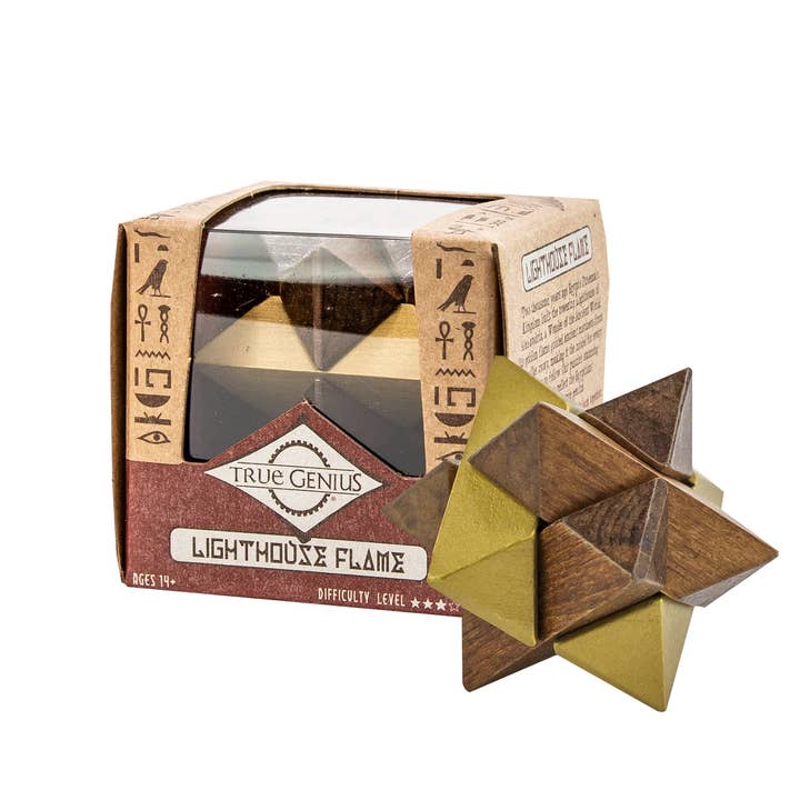 Project Genius - Wholesale Puzzle - Adult - 24-Piece True Genius Assorted Display (Individual SRP $6.00)