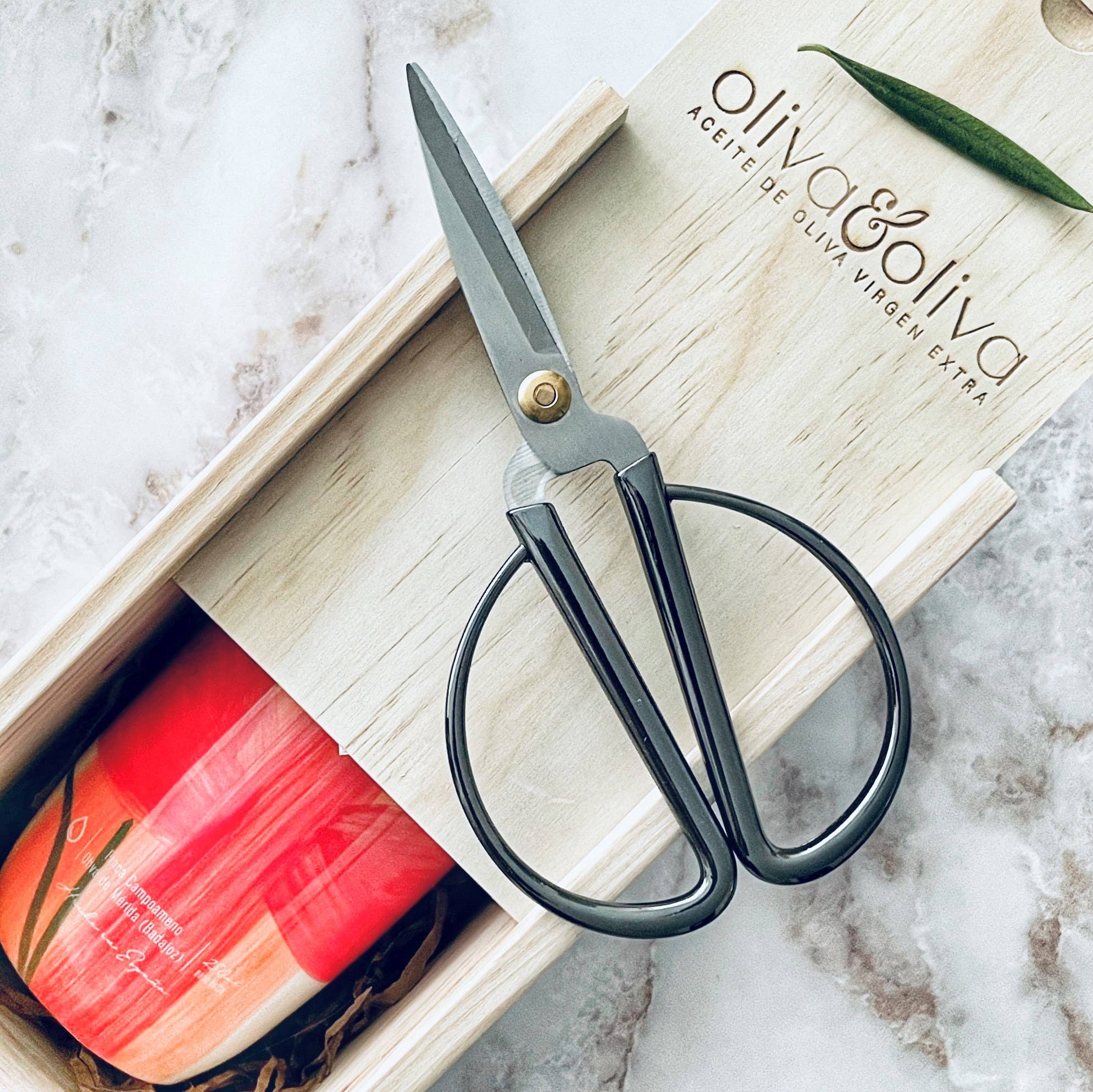 Oliva & Oliva - Venta al por mayor Aceite de oliva - Hoja 250 ml Edición Verdial de Badajoz | Colección Chumbera1