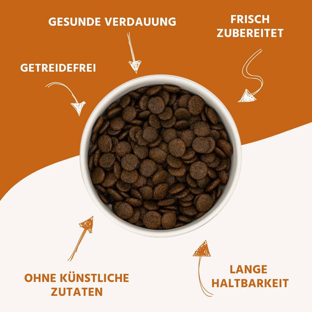 WILDFANG - Wholesale Pet food – Dog - Dry food economy pack 2 x 2 kg with tuna fish - grain-free3