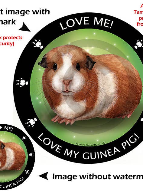 Imán circular de conejillo de indias Mi mejor amigo para venta al por mayor de Pet Gifts USA, LLC