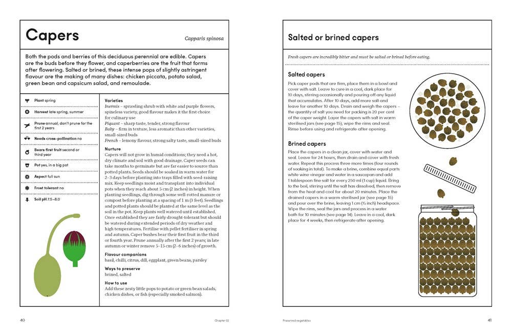 W. W. Norton - Wholesale Home & Garden - The Preserving Garden2