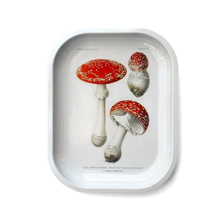 Small Metal Magic Mushroom Catchall Tray / Rolling Tray for wholesale by Curious Prints