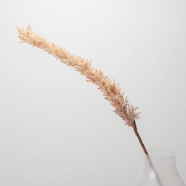 Pampas Grass On Stem Light Brown for wholesale by Chickidee