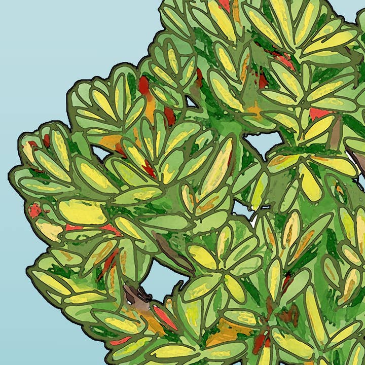 Snook in the Mangroves Fine Fish Art Billede på lærred for engroshandel hos William DePaula Fine Art