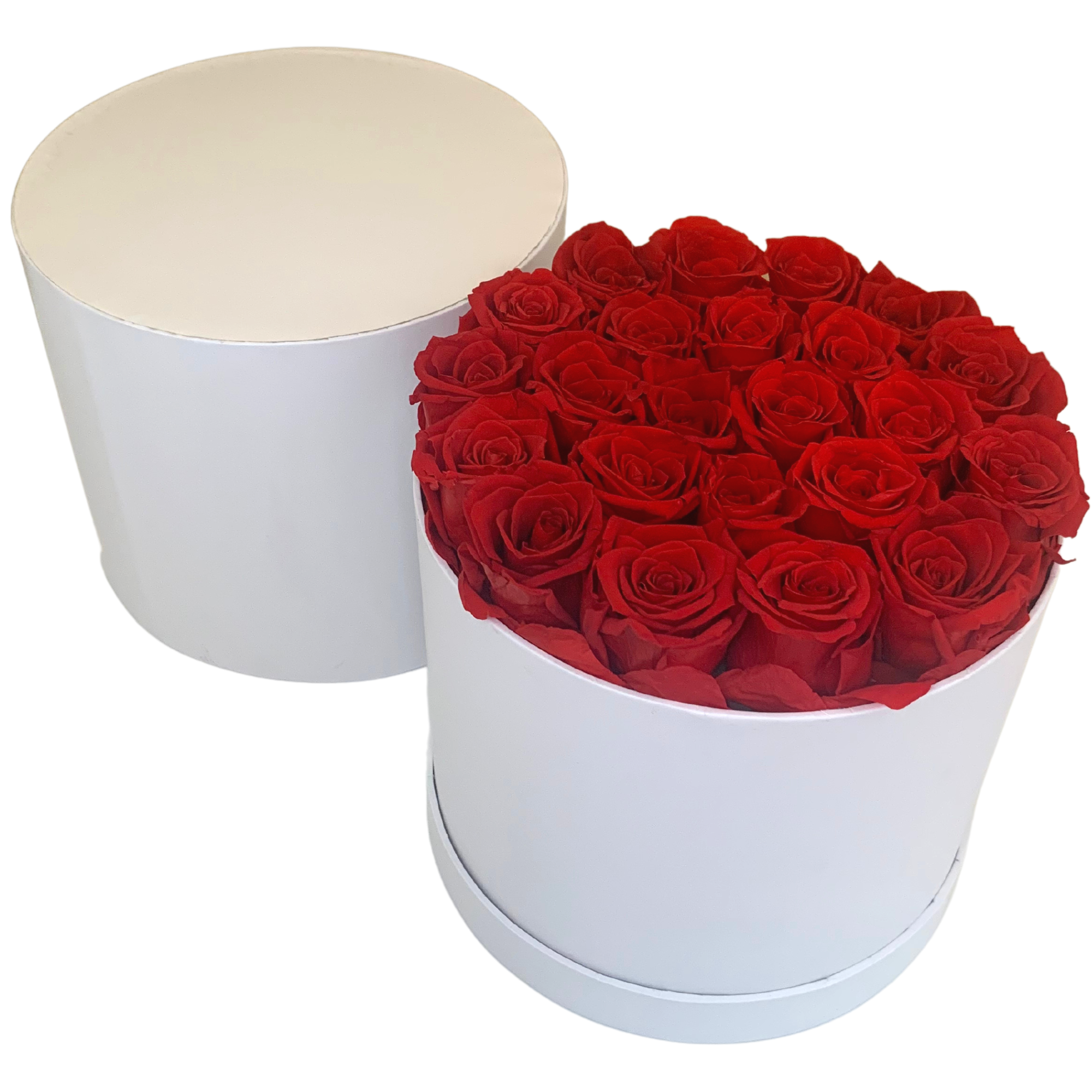 verona home and gift - Wholesale Dried/Pressed Flowers - 24 Real Preserved Roses that Last Forever In Round Box 9
