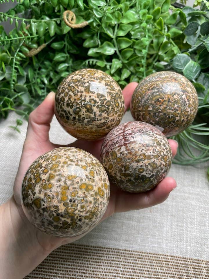 Leopard Skin Jasper Sphere for wholesale by Copper Ashes