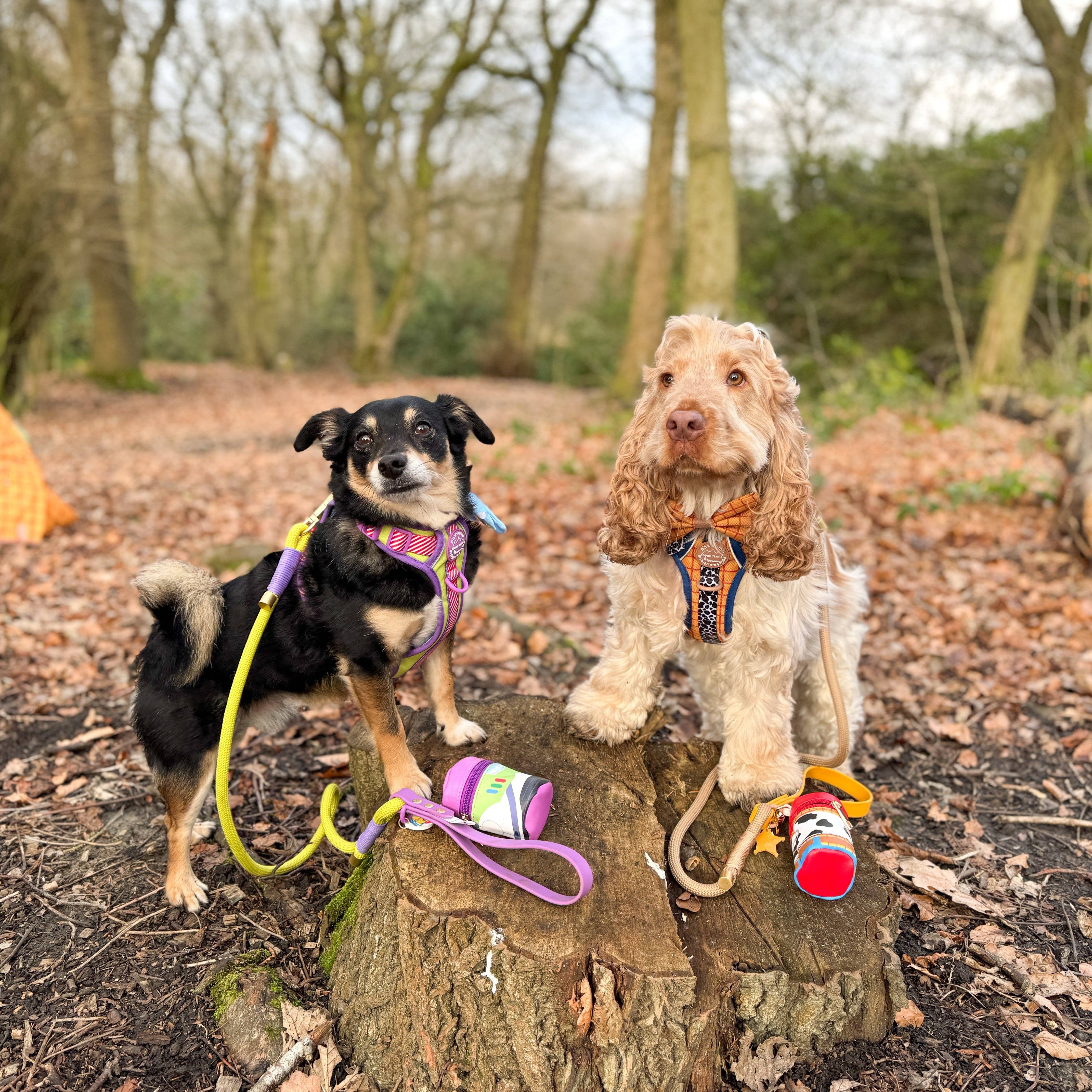 Pawsome Paws - Wholesale Pet Leash - Dog - Disney© 4ft Rope Lead - Buzz Lightyear9