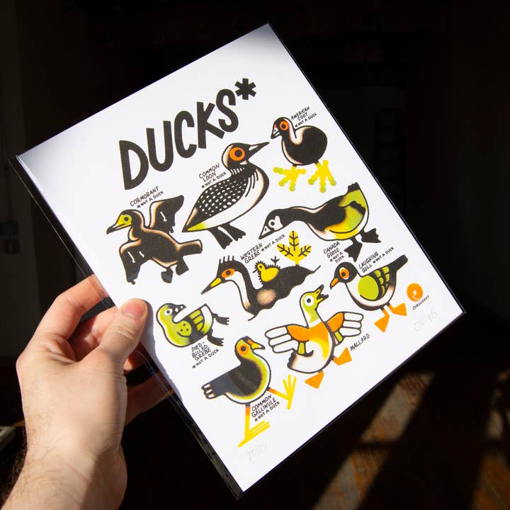 Curlworks - Vente Affiche d'art - Des canards (pas un canard) - Impression risographique de 8 x 10 pouces1