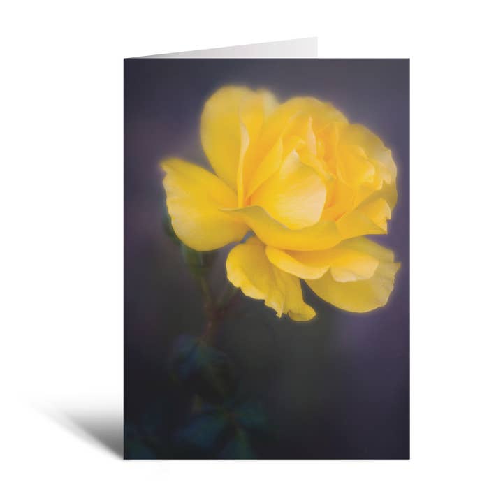 Team Colors Single 5x7 Yellow Rose Flower Greeting Card for wholesale by Sheryl’s Virtual Garden