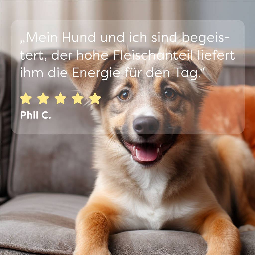 DrSAM - Wholesale Pet Food - Dog - Premium Wet Food Sensitive Chicken Ragout for Dogs 6x400g6