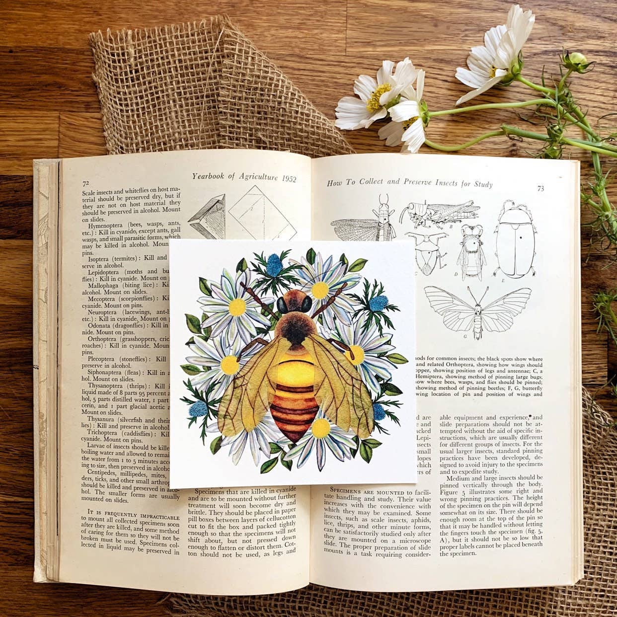 Candace Fincher – Großhandel Kunstdruck – Heimdeko mit Honigbienen-Aufdruck oder Hummel, Geschenk für Imker, Seehaus-Dekoration3