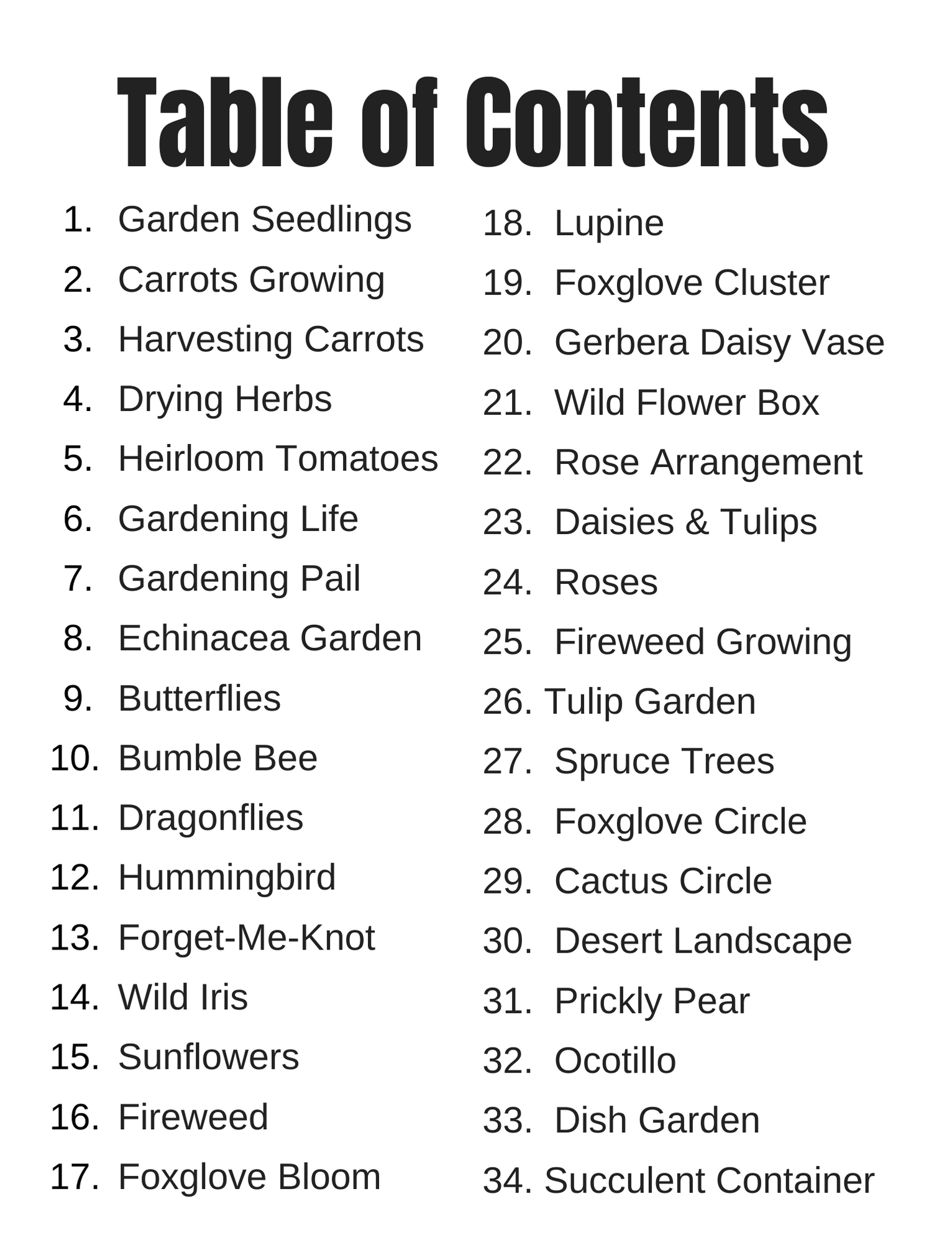 Alaska Wild & Free - Wholesale Kleurboek - Volwassene - In de Tuin Kleurboek2