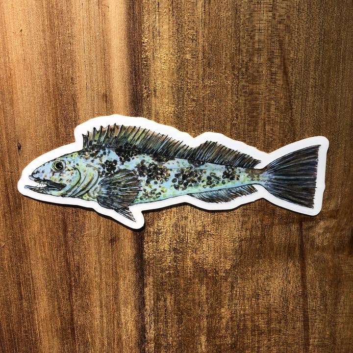 Lingcod sticker for wholesale by YubaCat Designs