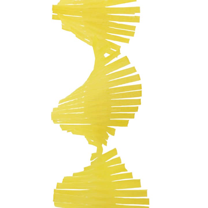 Frolic and Frills - Wholesale Party Sign/Banner - Fringed Crepe Streamers (sets of 3)18