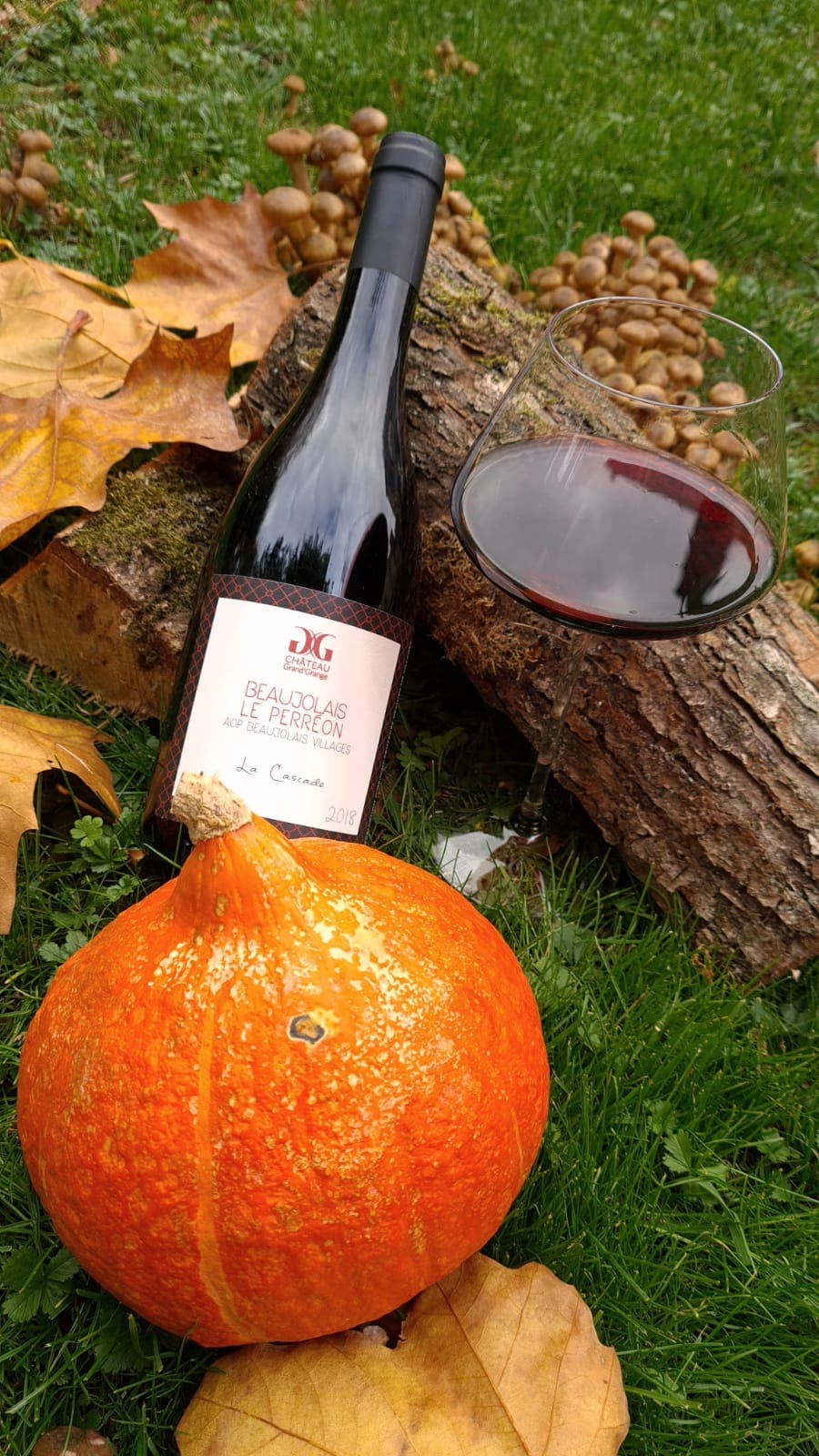 Chateau Grand'Grange - Wholesale Red Wine - The Cascade 2024 - 100% Gamay1