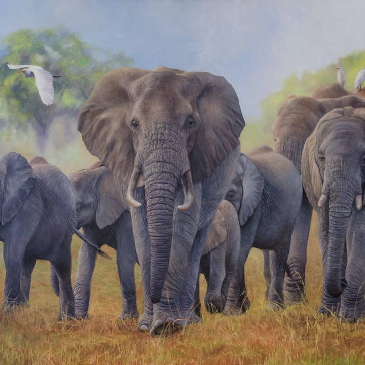 Matriarken - Afrikanske elefanter Kunsttryk på dyrelærred for engroshandel hos James Corwin Fine Art