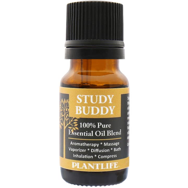 Study Buddy Miscela di Olio per la vendita all'ingrosso da parte di Plantlife