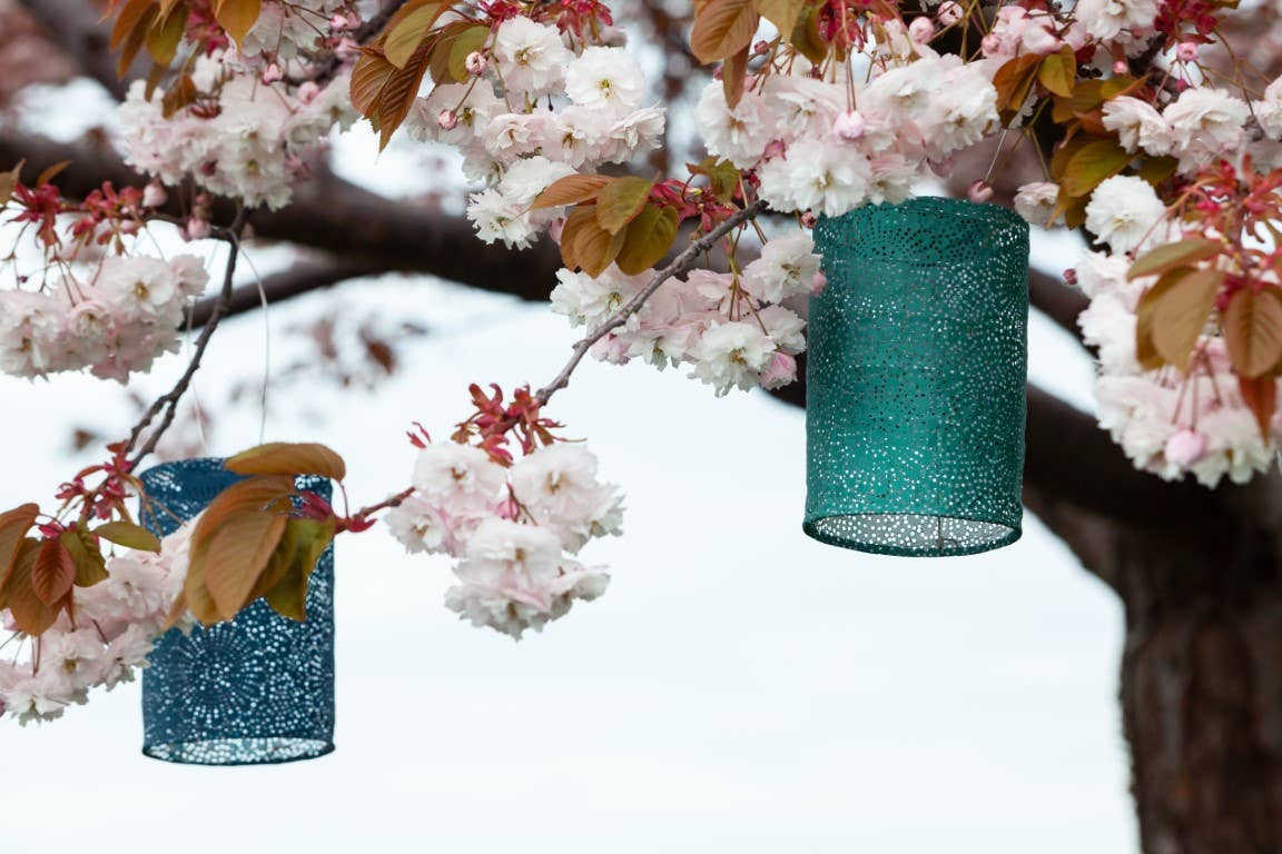 Allsop Home & Garden - Wholesale Outdoor/Lawn Light - Stella Cylinder 7.5" Solar Lantern - Metallic Emerald10