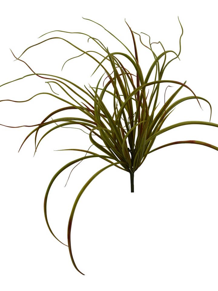 Korte Bladgrasstruik voor wholesale door Tremont Floral Supplies