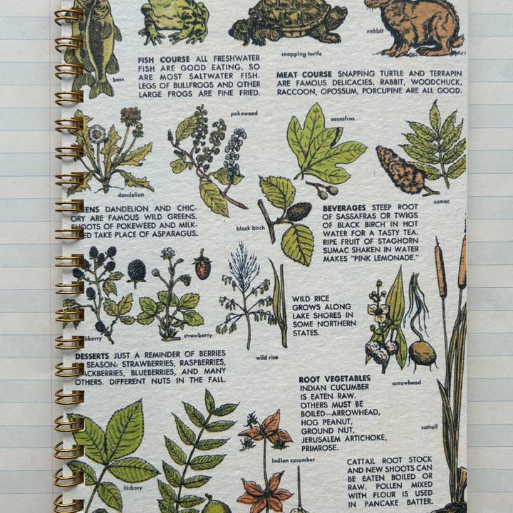 Parcel - Wholesale Notebook - Wildlife Forager Notebook