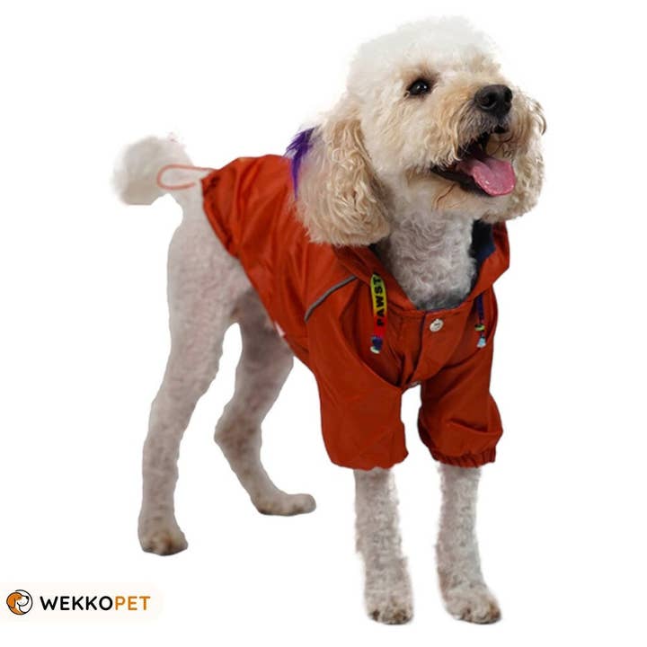 (SET OF 5) High-Quality Dog Jacket -Orange Pluvia- Coat Perfect Dog Lover Gift - WEKKOPET for wholesale by WEKKOPET