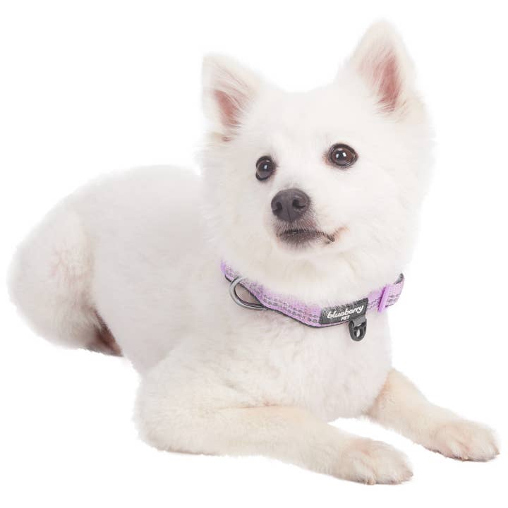 Blueberry Pet - Wholesale Pet Collar - Dog - 3M Reflective Soft Neoprene Padded Safety Dog Collar
