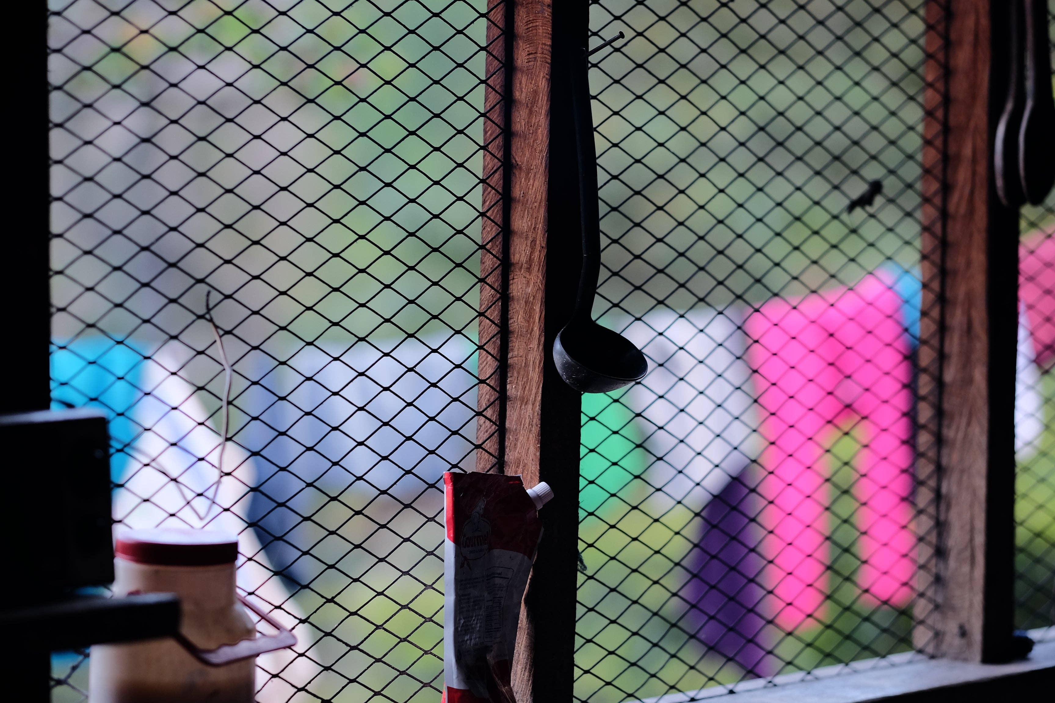 Paso Paso - Farmer Owned Coffee - Wholesale Coffee Beans - Nicaragua - Silvio Sánchez - Catuai Natural8