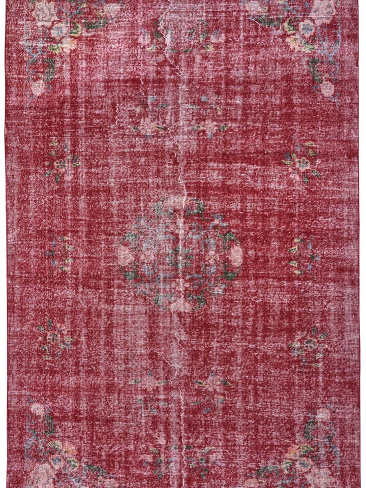 Kaily - 6'10" x 10'4" für den Großhandel von Biev