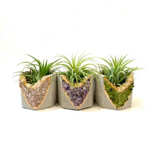 Plant One On Me Designs - Wholesale Plant Pot - Crystal Geode Planter with Air Planter- Mixed Crystal Set8