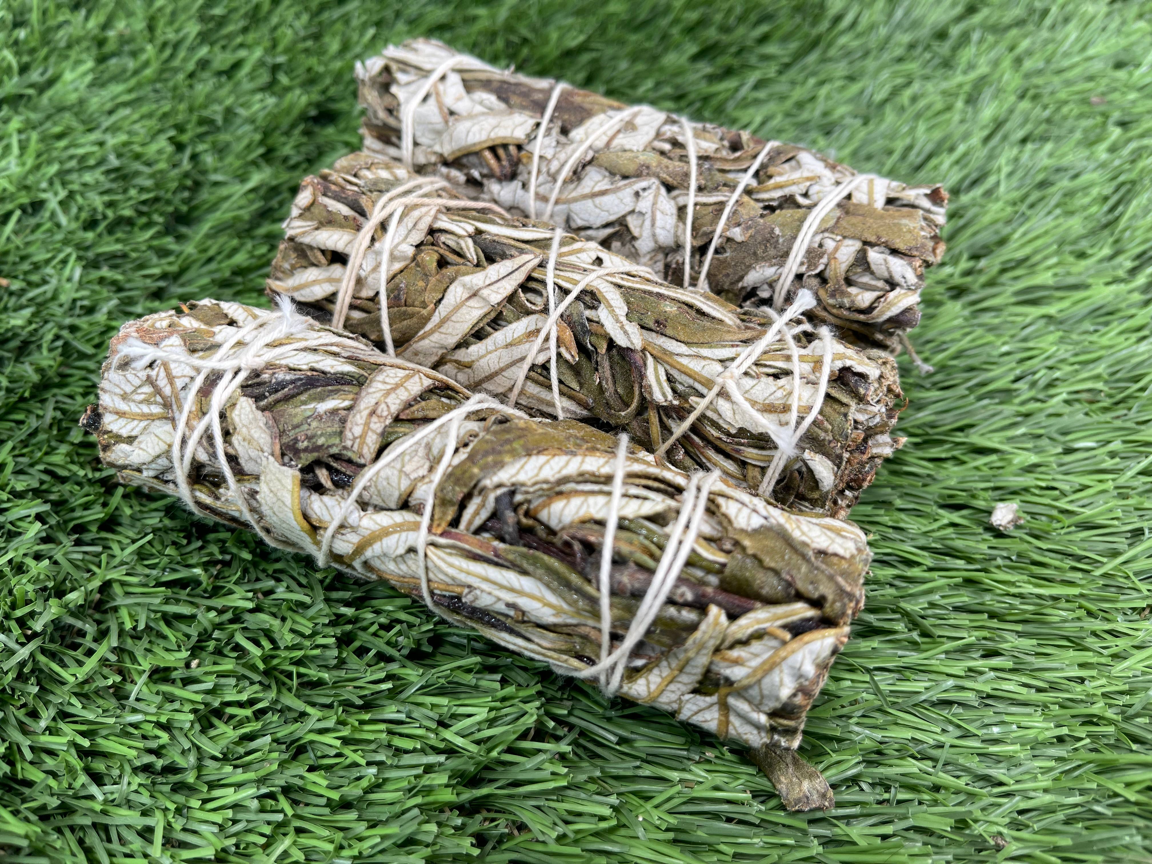 CaNatureLover - Wholesale Sage Bundle - Sage Variety Pack, Smudging Bundle Set, SAGE BUNDLE 18 PCS8