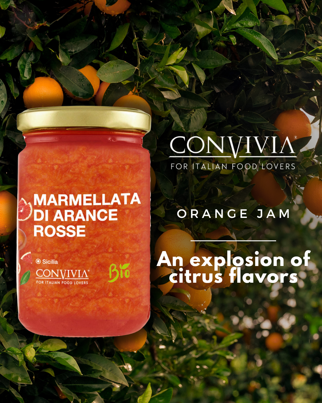 CONVIVIA for italian food lovers - Wholesale Jam/Jelly - Organic red orange jam 360g6
