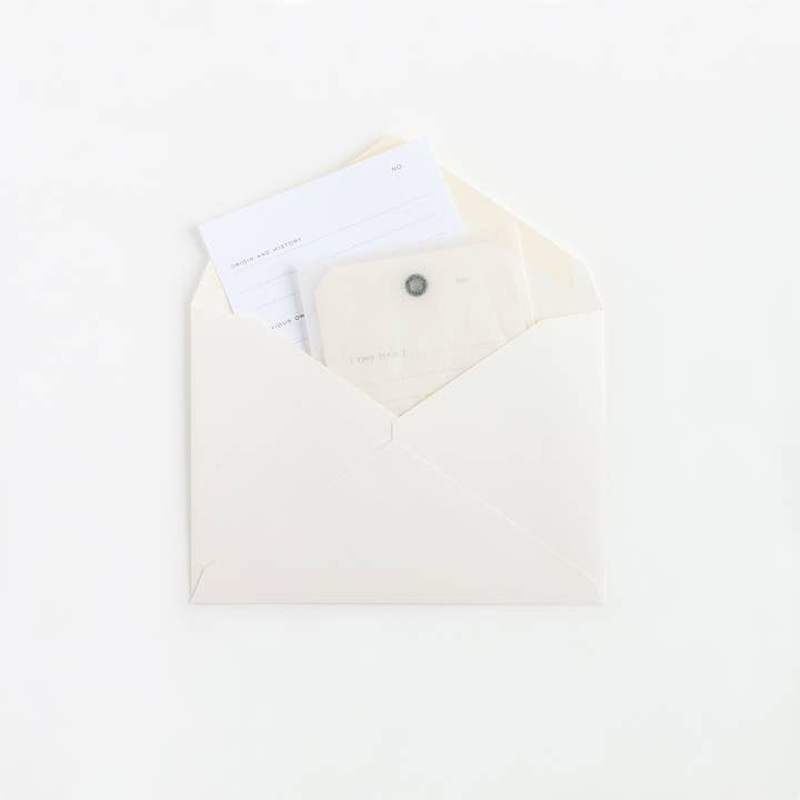 Hannah Bergen - Wholesale Envelopes - Provenance Envelopes1