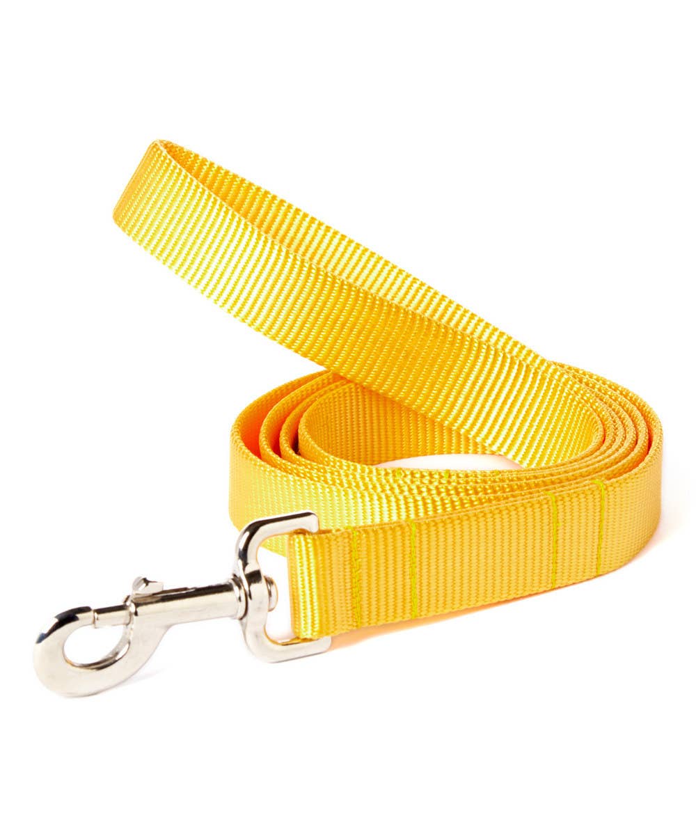 Mimi Green - Wholesale Pet Leash - Dog - Nylon Webbing Dog Leash (23 colors!)15