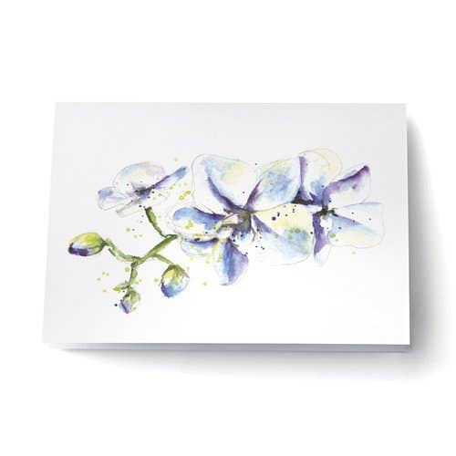 Orchidées for wholesale by Scarlett