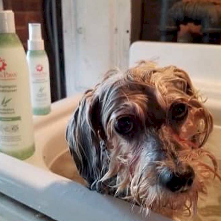Aroma Paws - Wholesale Pet Spray - Dog - 4.5 Oz. Dog Coat Spray Eucalyptus Peppermint