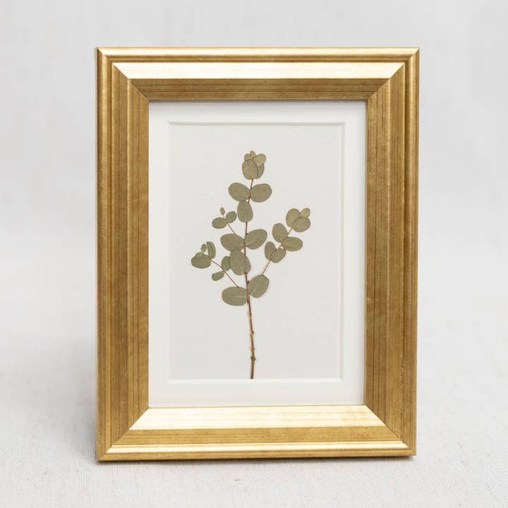 Pressed Flower Framed Mini Print - "Eucalyptus" for wholesale by Hope Steinle Pressed Flower Art