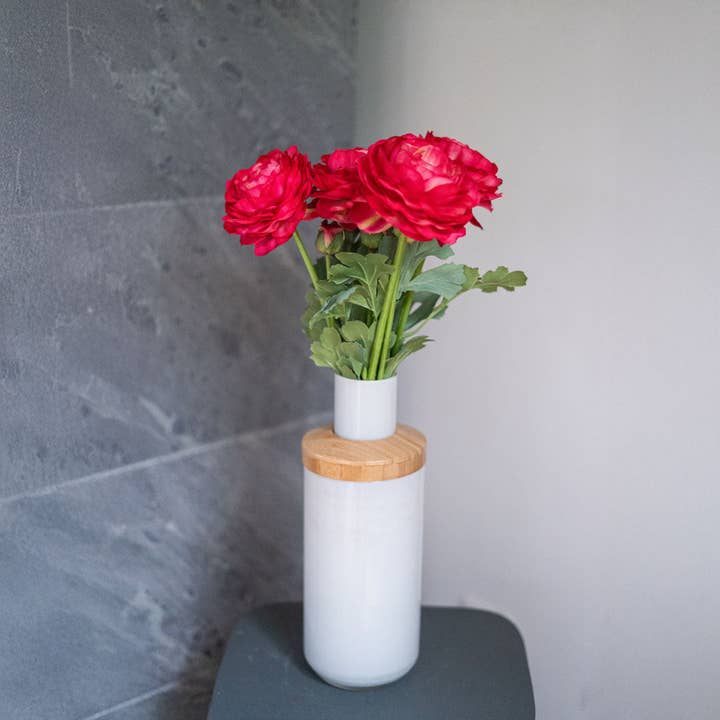 Fuchsia ranunculus for wholesale by Flowrette