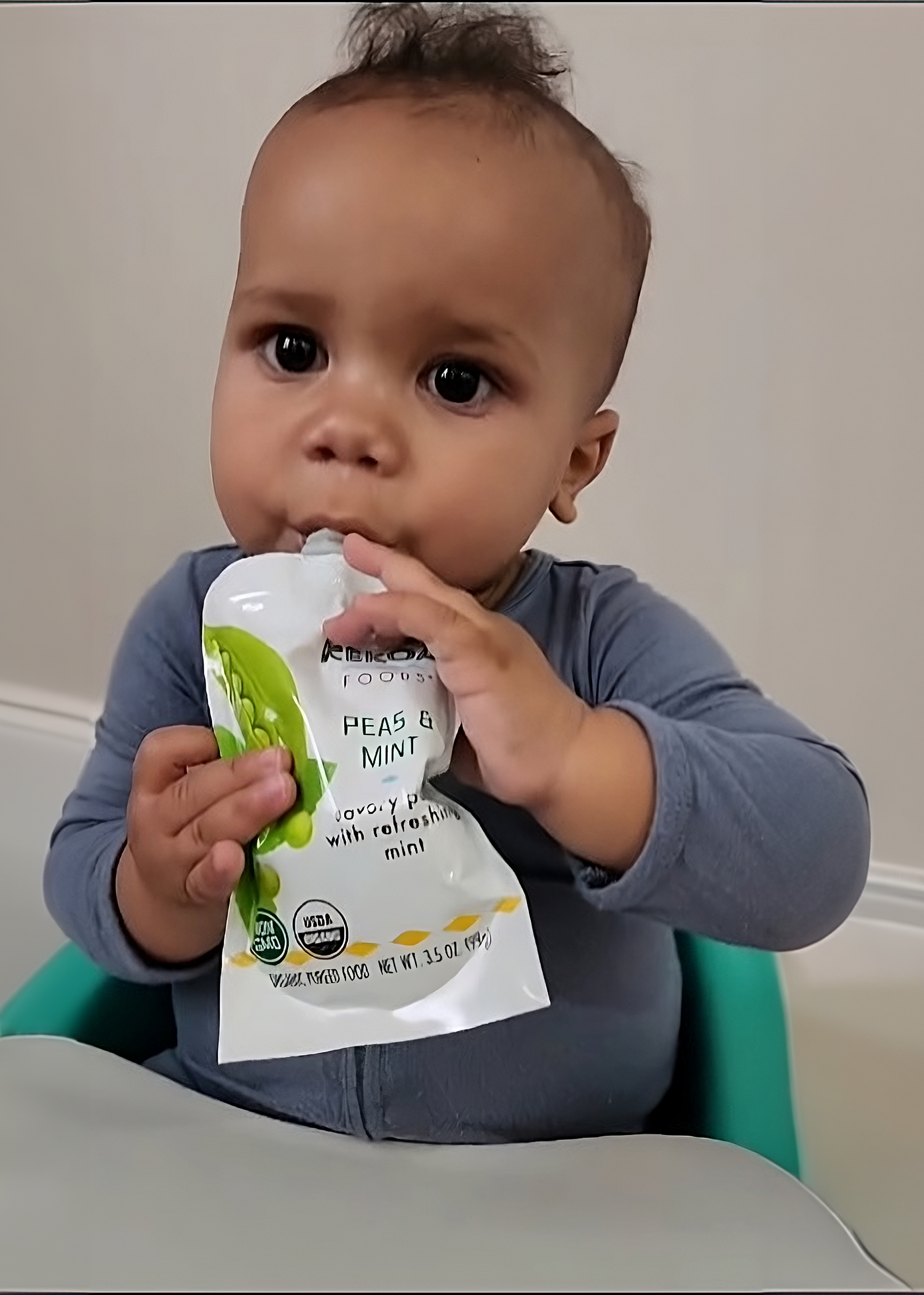 Kekoa Foods - Wholesale Baby Food - Peas & Mint Squeeze Pouch, 100% Organic Vegetarian Baby Food Purée6